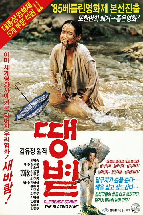 The Blazing Sun poster