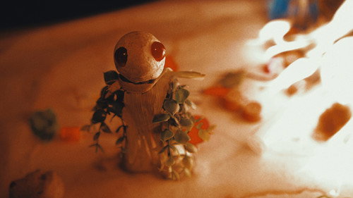 The Plant Boy Bild 4