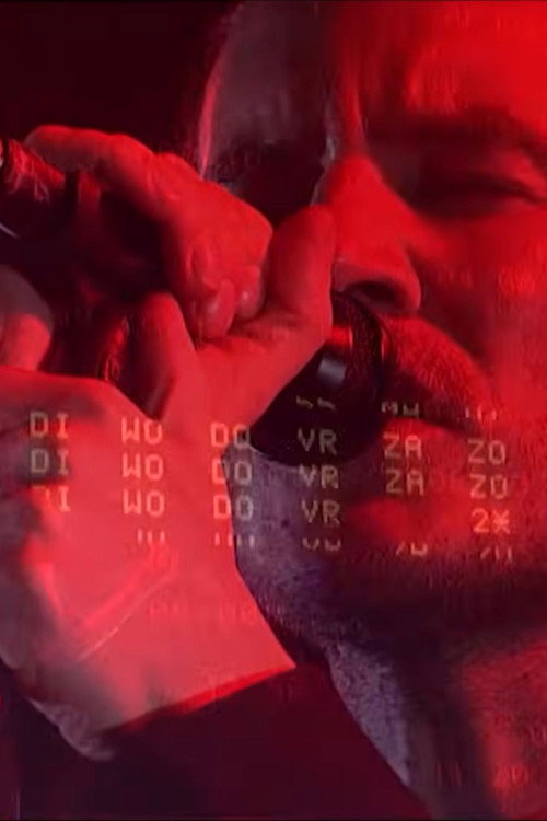 Massive Attack - Live at Pinkpop 2003