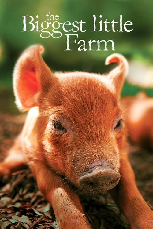 Grootschalige poster van The Biggest Little Farm