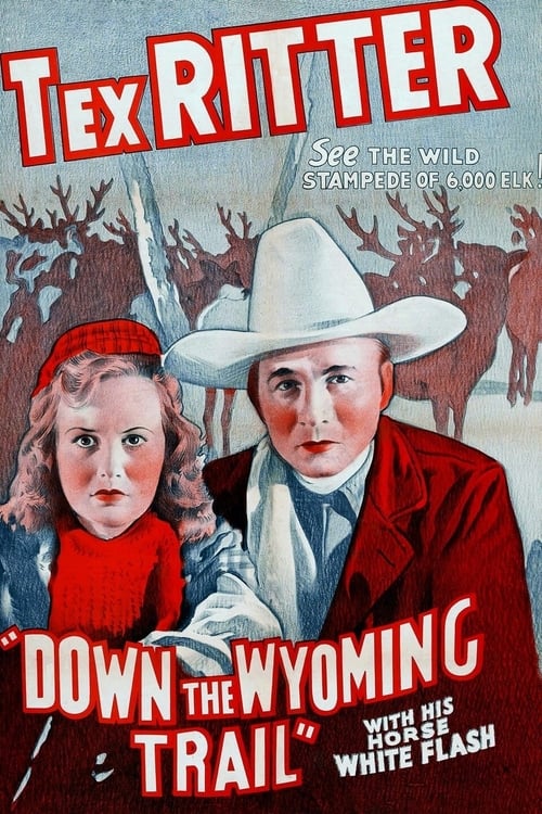 Down the Wyoming Trail (1939) Poster