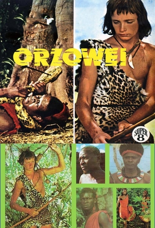 Poster Orzowei, il figlio della savana