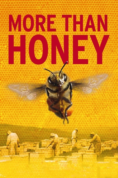 Grootschalige poster van More Than Honey