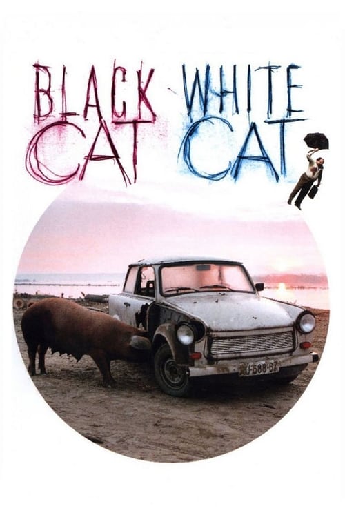 Largescale poster for Black Cat, White Cat