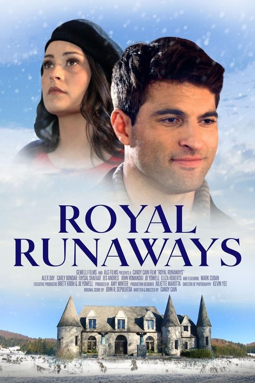 Poster 3