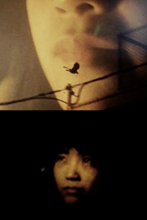 DIRECT LIGHT (1995) poster