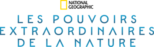 Les pouvoirs extraordinaires de la nature
