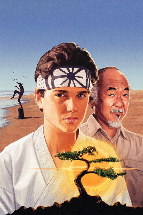 The Karate Kid Collection