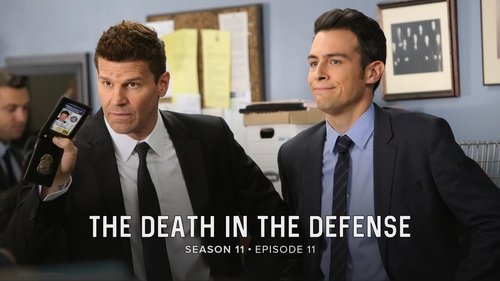 Bones: 11×11