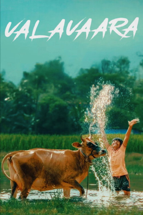 Valavaara poster