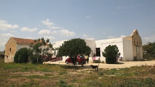 Manca Moro image 5