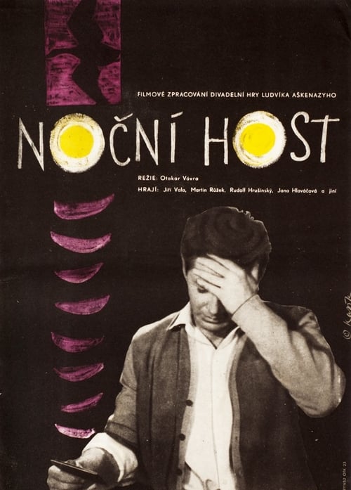 The Night Guest Movie Poster Image