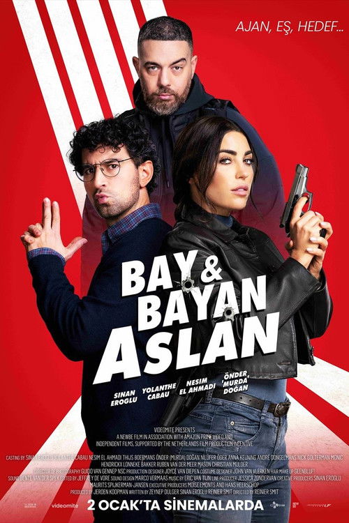 Bay & Bayan Aslan film afişi