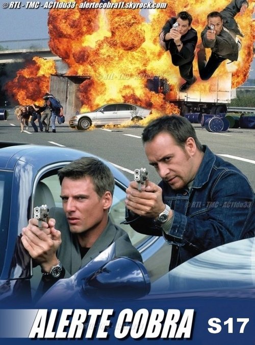 Poster de la Temporada 17 en la serie Alerta Cobra