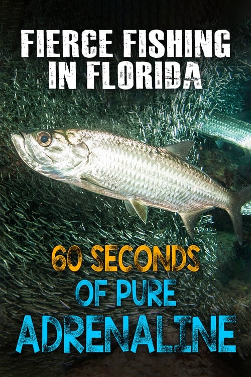 Fierce Fishing in Florida: 60 Seconds of Pure Adrenaline