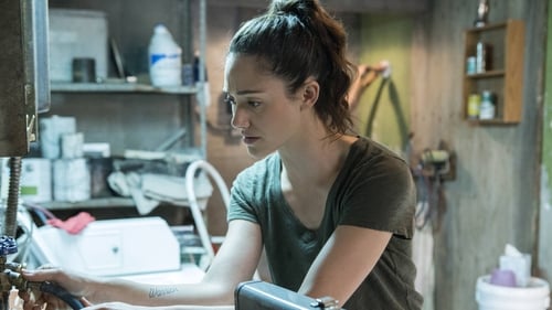 Shameless (US): 8×6