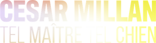 Cesar Millan: Tel Maître, Tel Chien