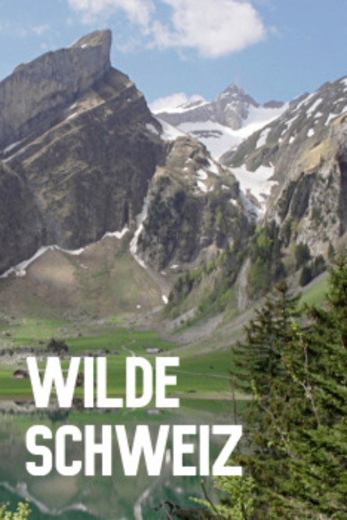 Wilde Schweiz poster