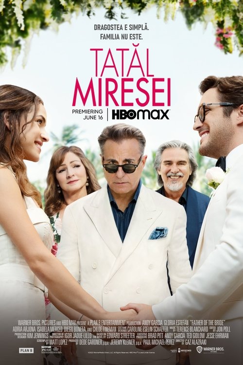 Poster pentru Tatăl Miresei