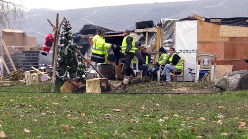 Graines de ronds-points Bild 2