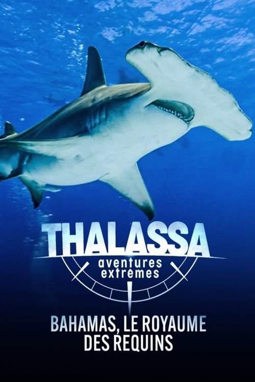 Thalassa, aventures extrêmes