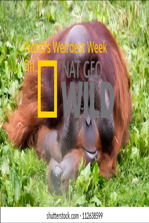 World's Weirdest Week