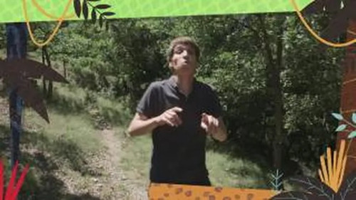 Episode 3
