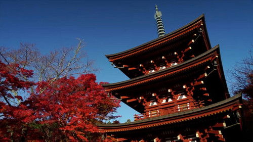 Light Snow (Shousetsu)