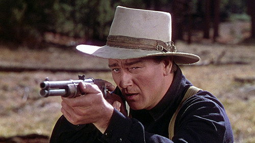 The Shepherd of the Hills