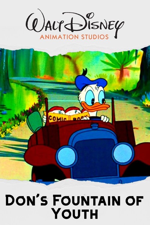 Don's Fountain of Youth poster