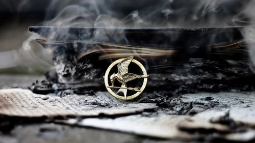Image 113