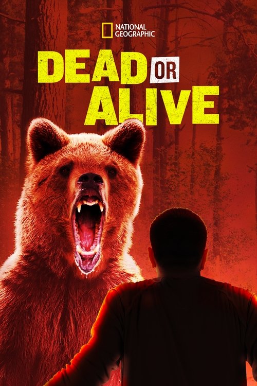 Dead or Alive poster