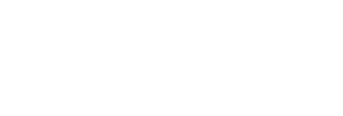Anchovy Physical Camp's logo image