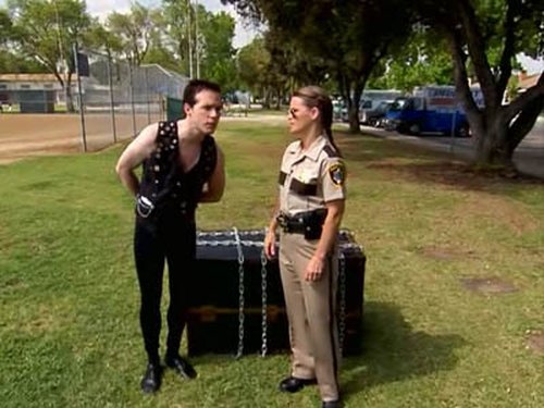 Poster della serie Reno 911!