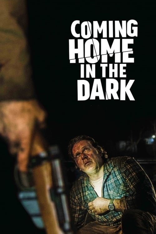 Largescale poster for Coming Home in the Dark