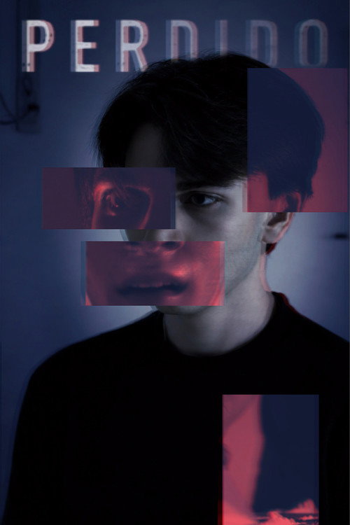 PERDIDO Poster
