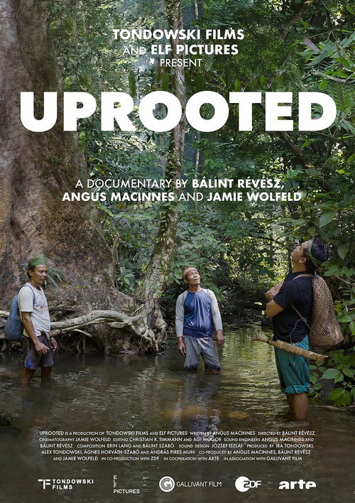 Uprooted — The Olympic Tribe