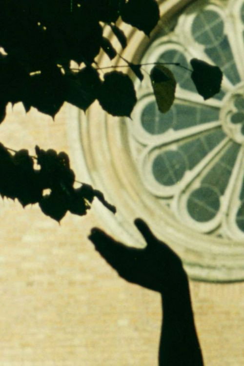 The Sparrow Dream poster