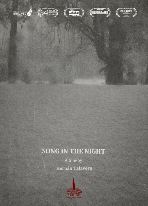 Song in the Night movie poster player