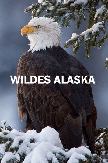 Escena 6 de Alaska salvaje