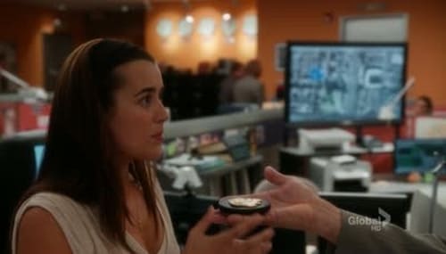 Poster della serie NCIS