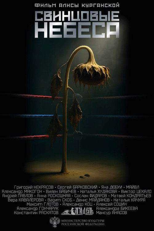 Свинцовые небеса