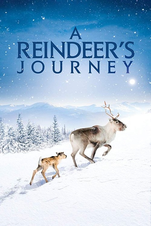 A Reindeer's Journey 2018