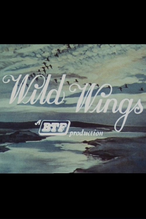 Wild Wings movie poster player