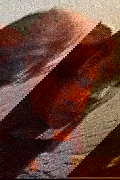 Alexander Yatsurenko