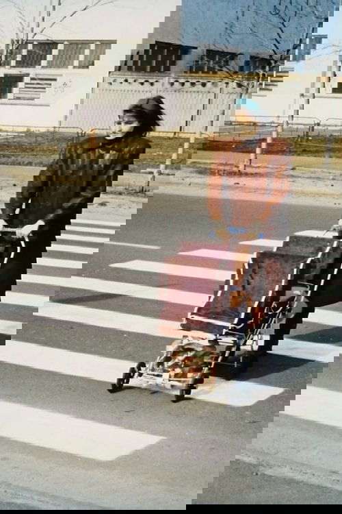 Pedestrian Crossing (1995) poster