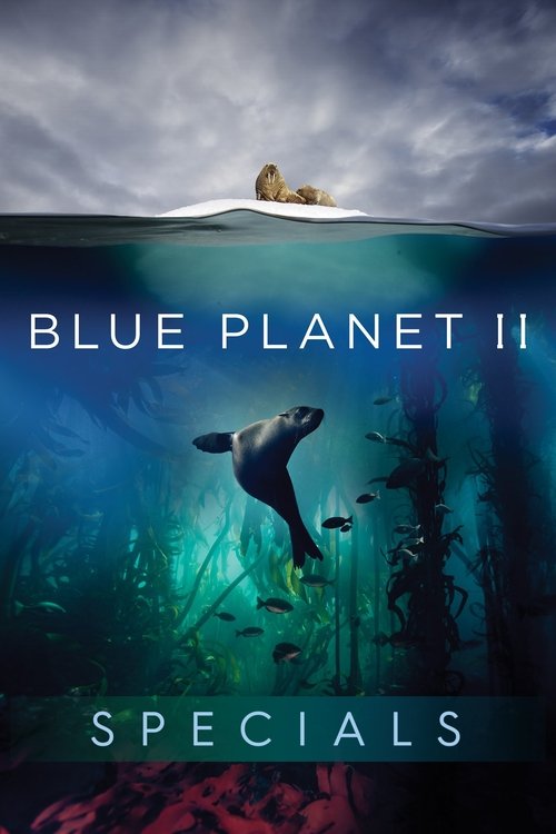 Where to stream Blue Planet II Specials