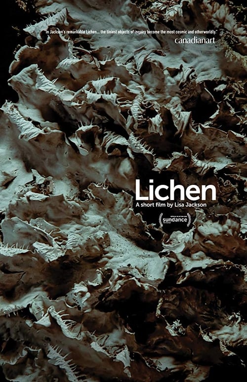 Lichen 2019