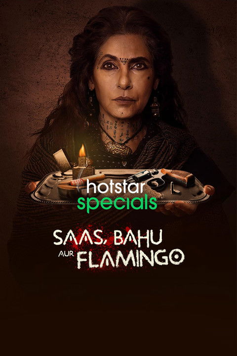 Saas, Bahu Aur Flamingo - Season 1