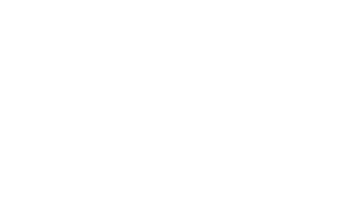 The Wasp